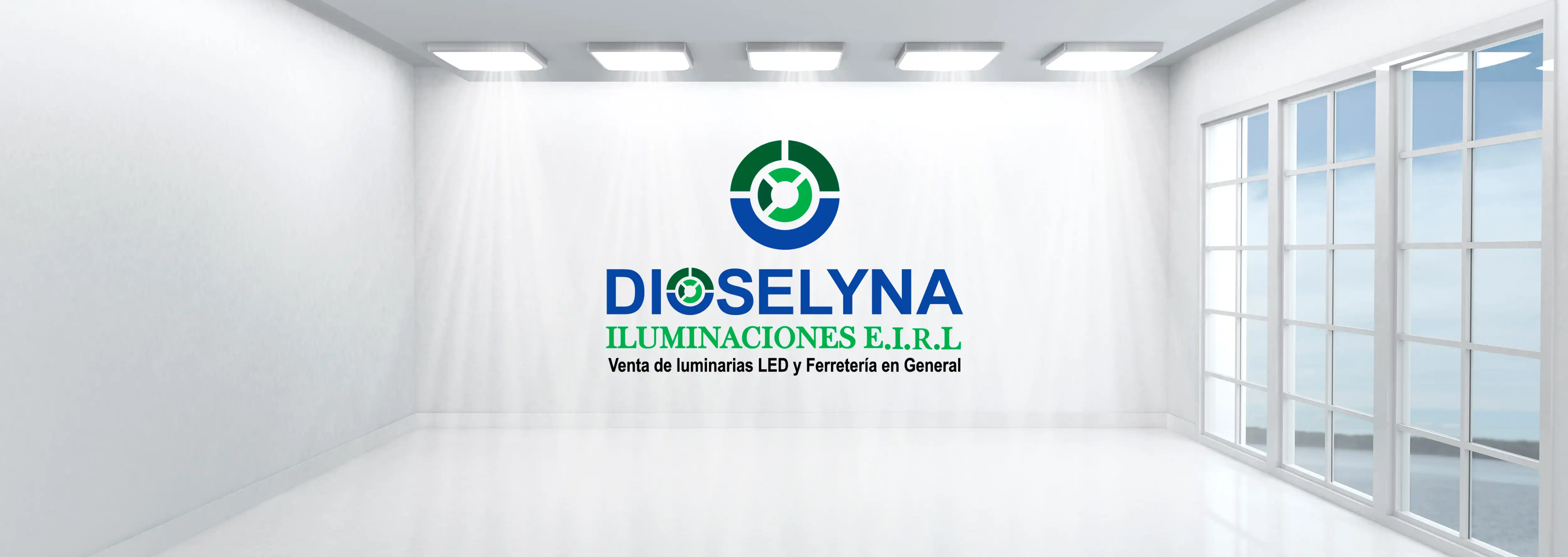 DIOSELYNA ILUMINACIONES E.I.R.L